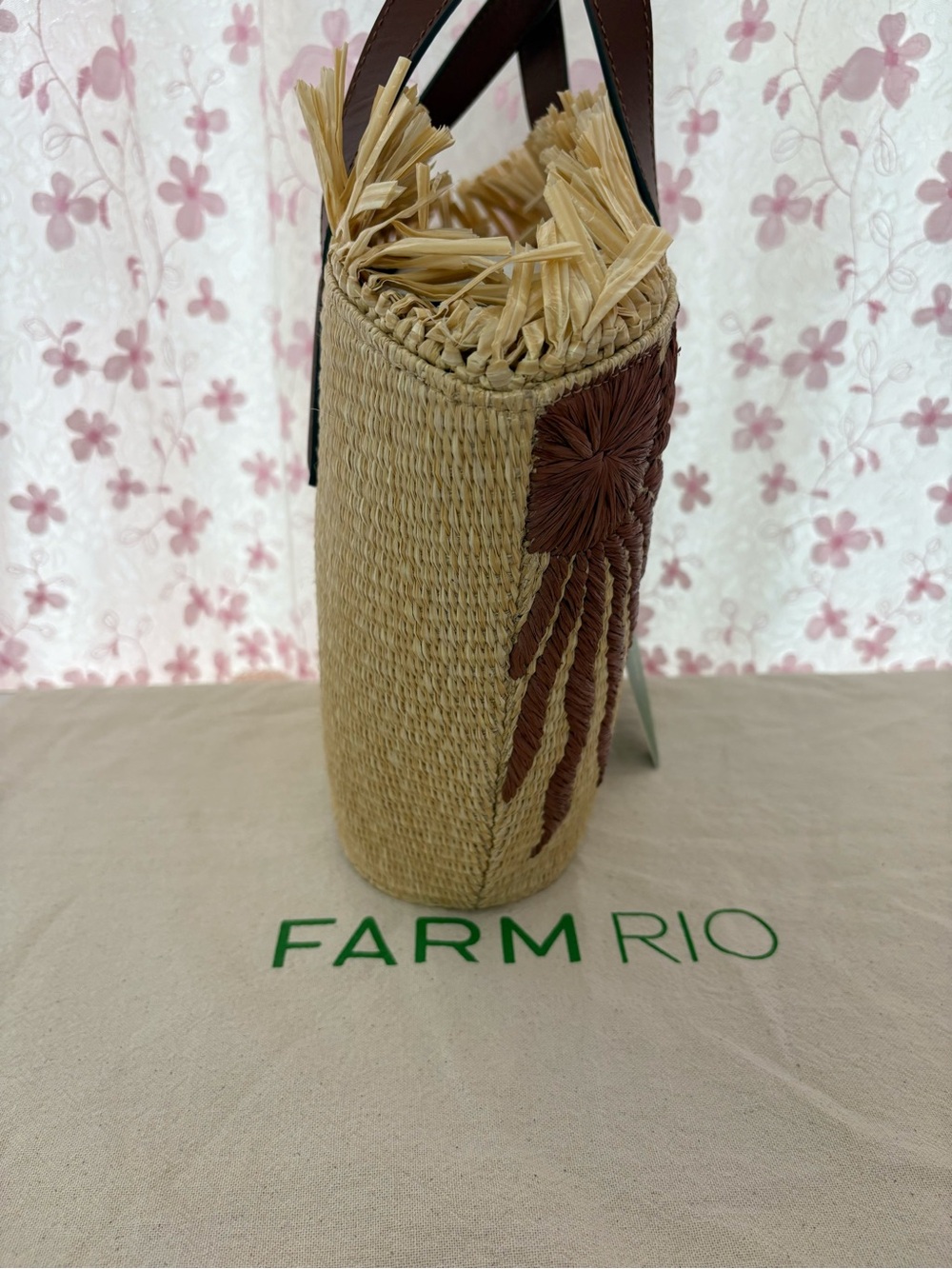 Farm Rio Small Fringed Leather Trimmed Raffia Tote Bag - Picture 3 of 9